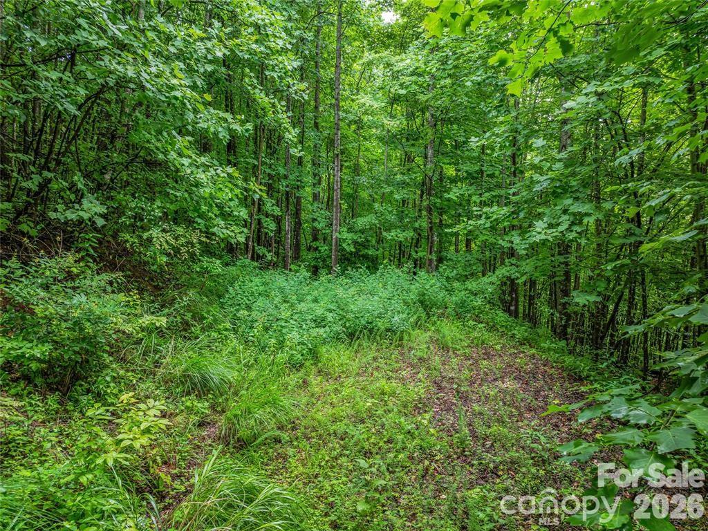 9999 Kestrel Lane Property Photo 11
