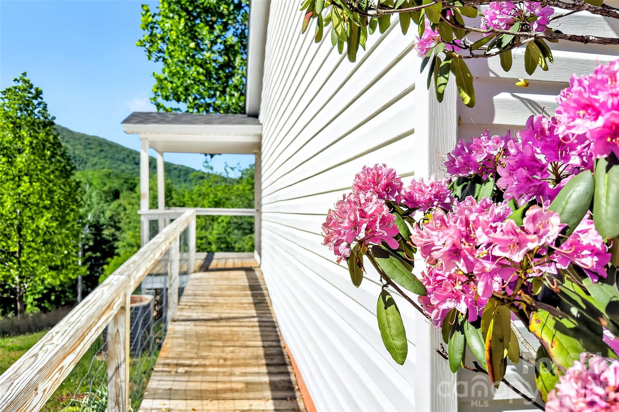 298 Wolf Crossing Property Photo 3