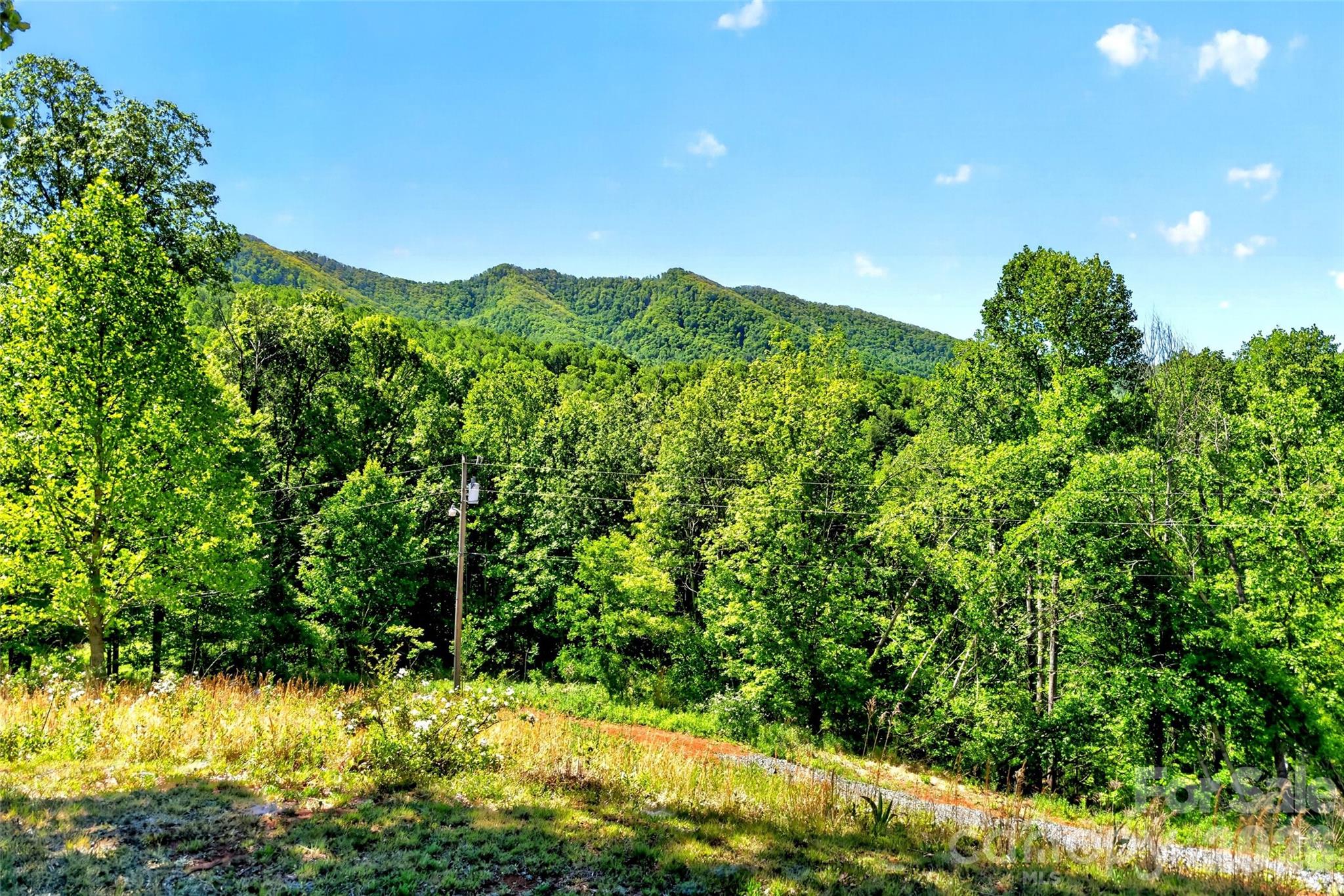 298 Wolf Crossing Property Photo 41