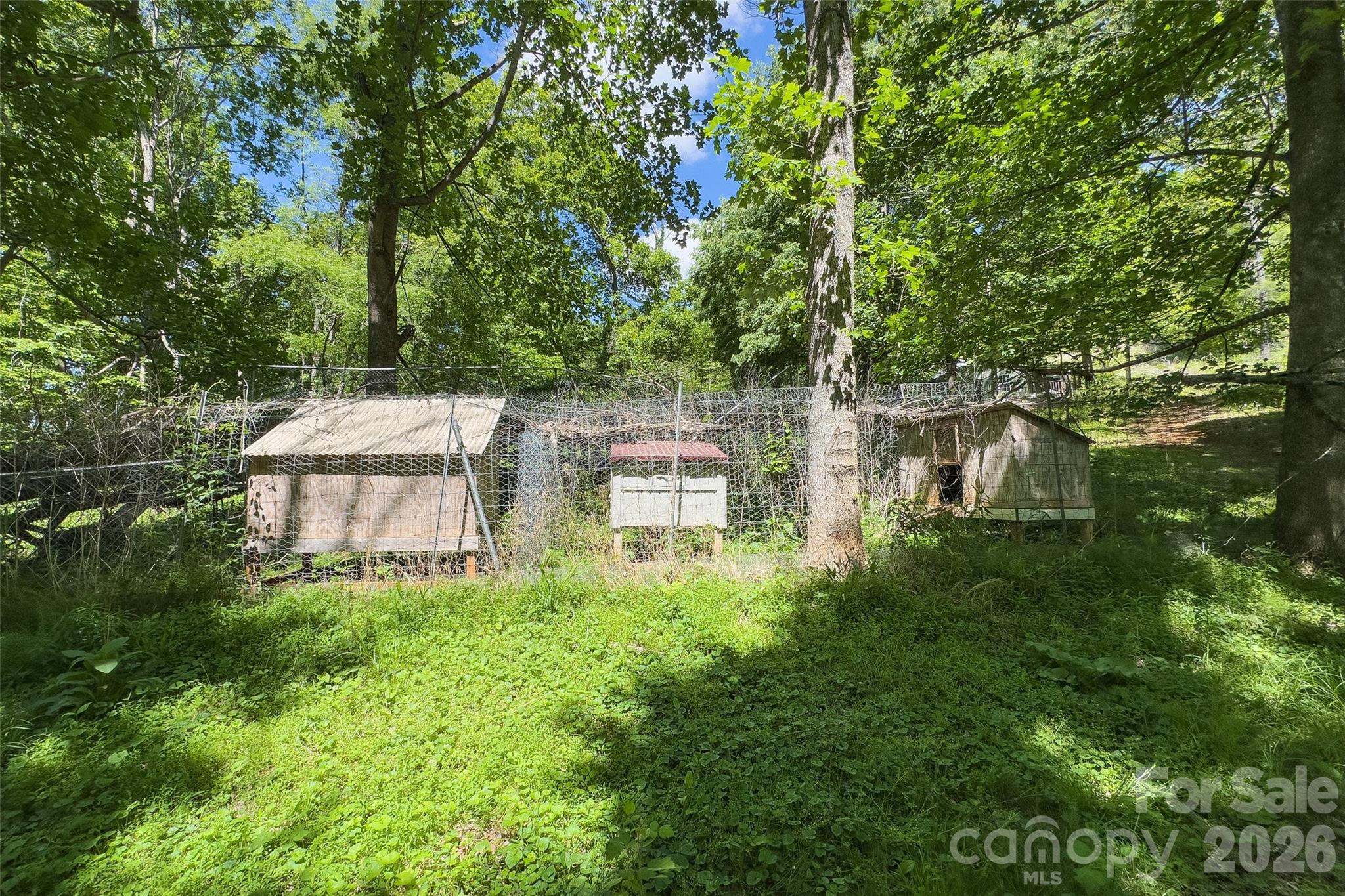 298 Wolf Crossing Property Photo 43