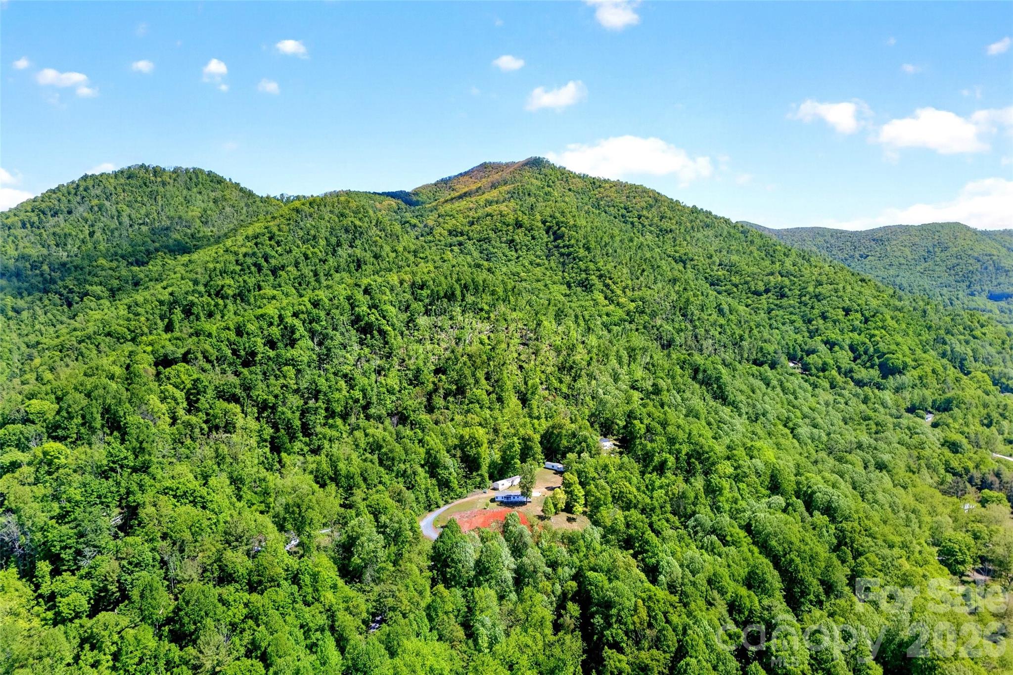 298 Wolf Crossing Property Photo 46