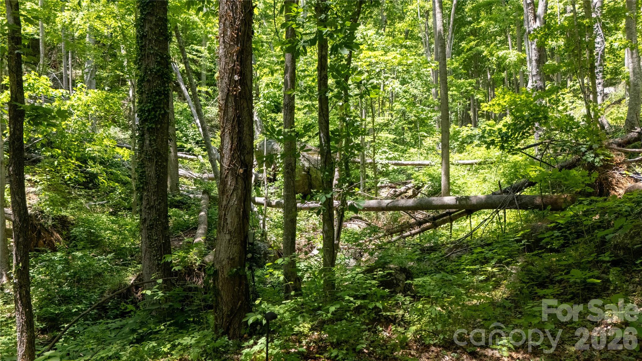 8 Westward Way Property Photo 10