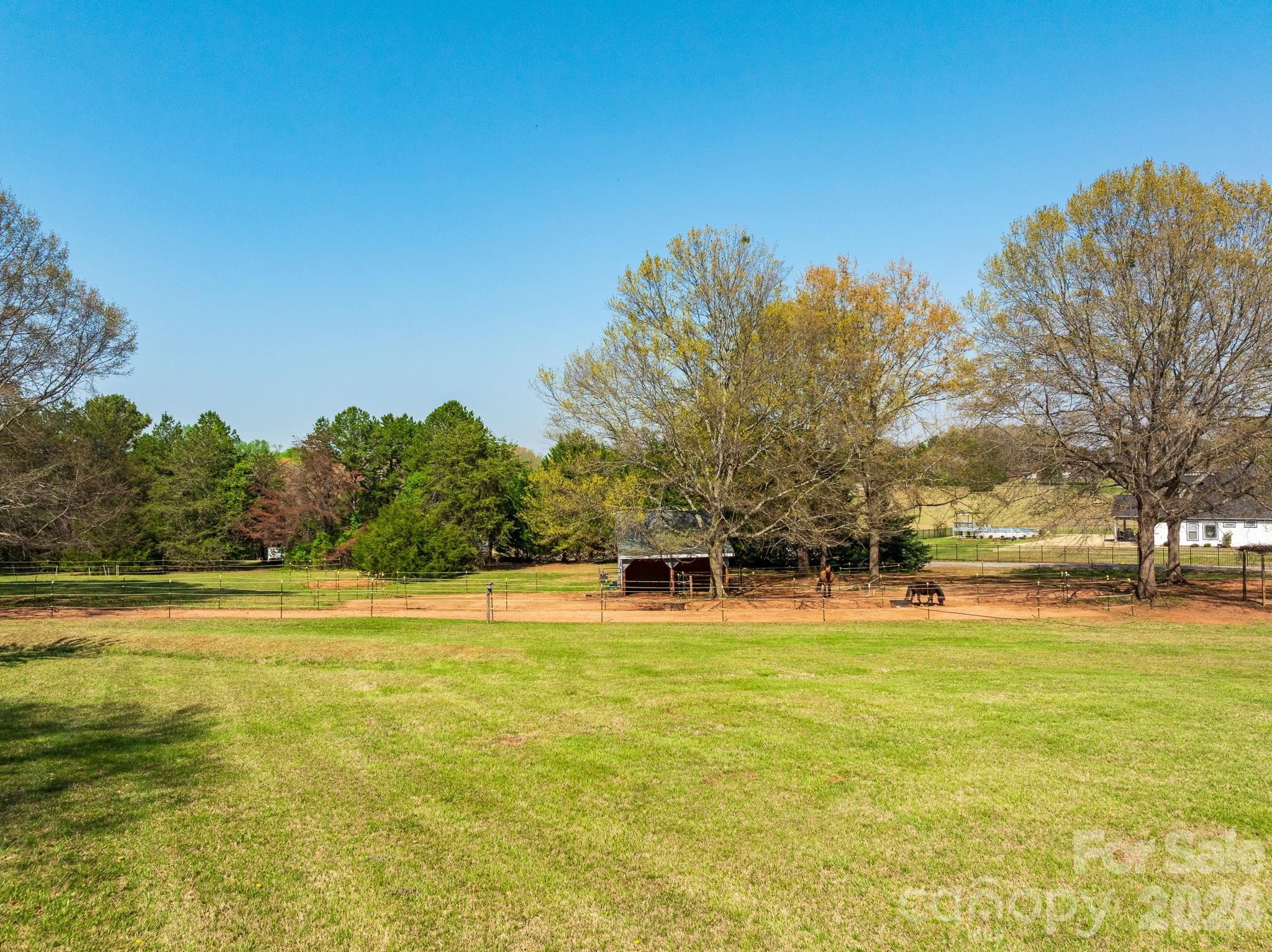1570 Roddy Road Property Photo 31