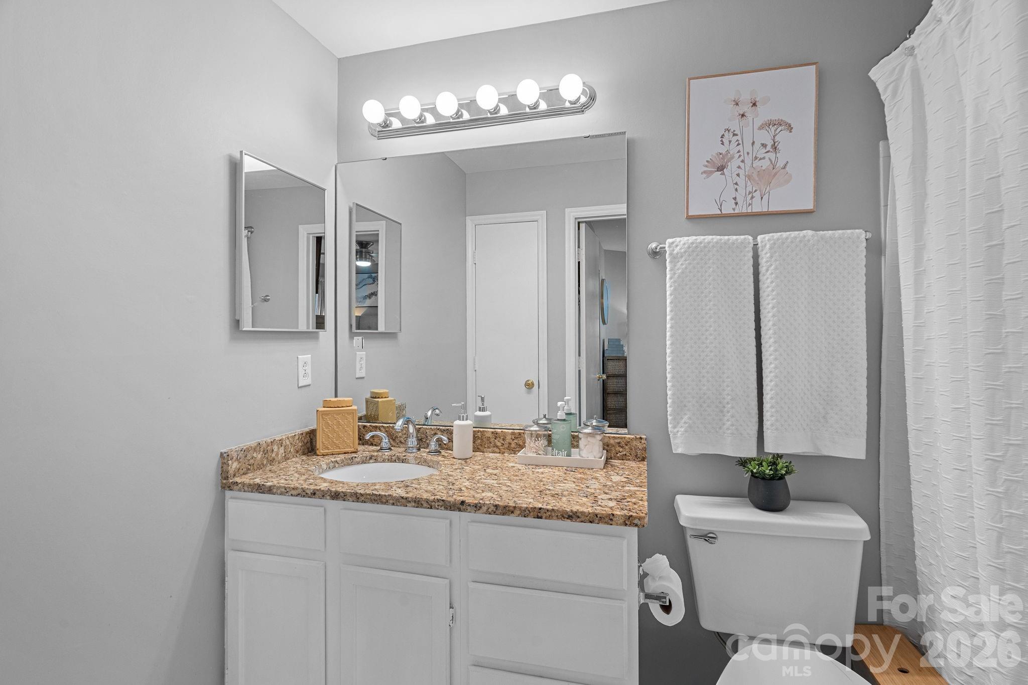 18845 Vineyard Point Lane Property Photo 18