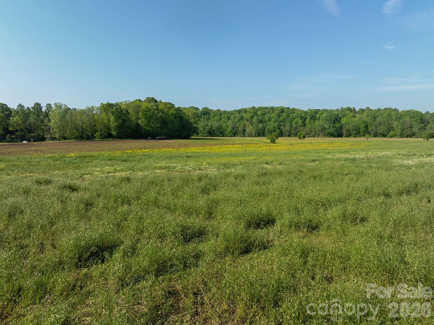 5555 Groves Road Property Photo 23