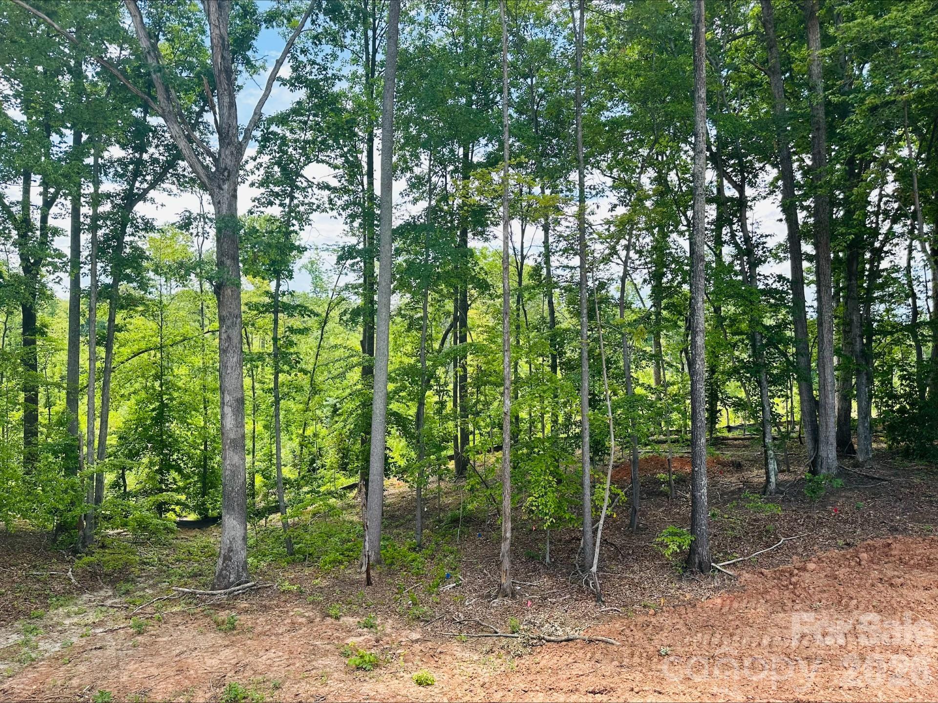 165 Beth Haven Church Road 1 Property Photo 4