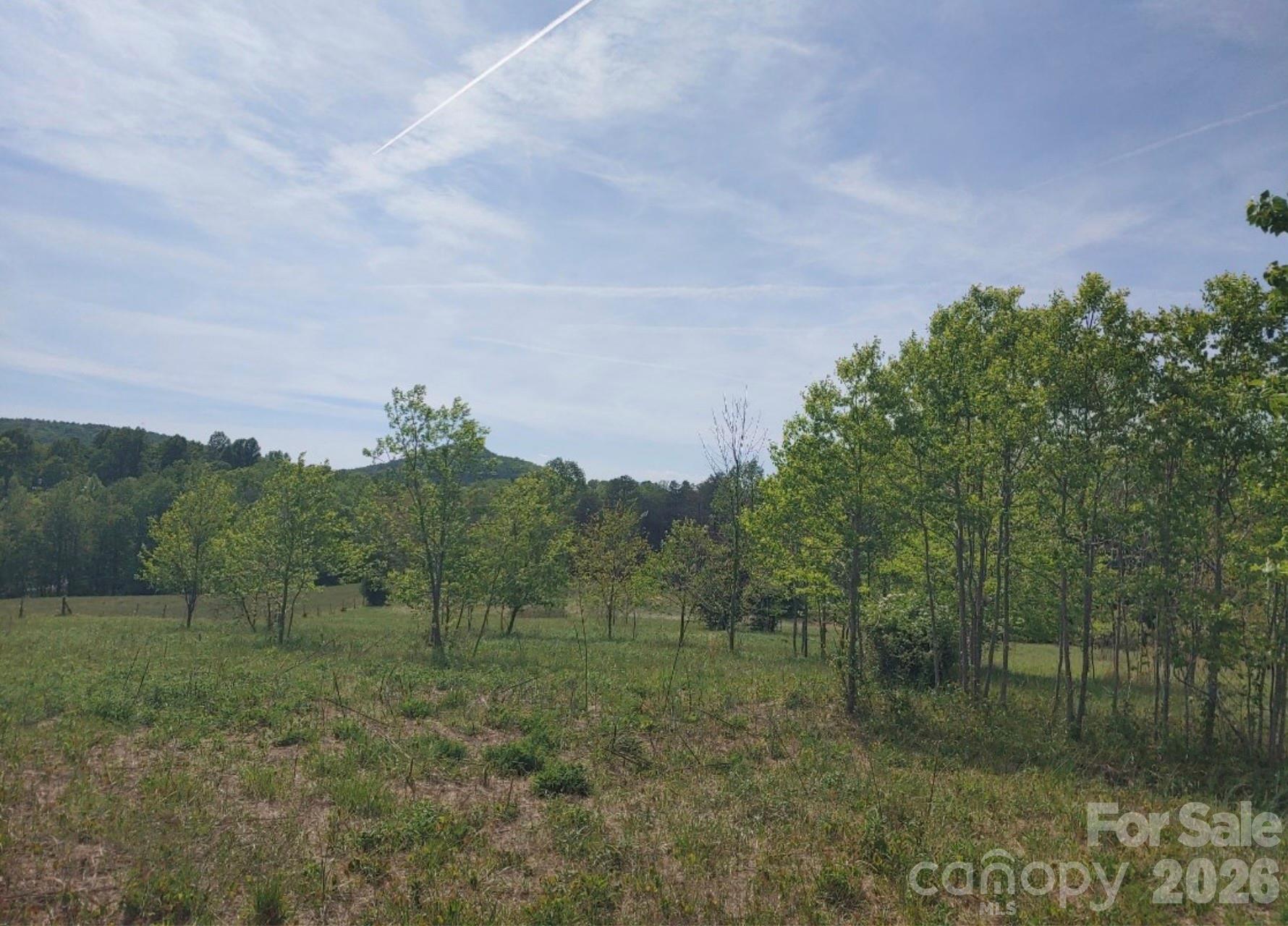 Off Landis Lane Property Photo 8