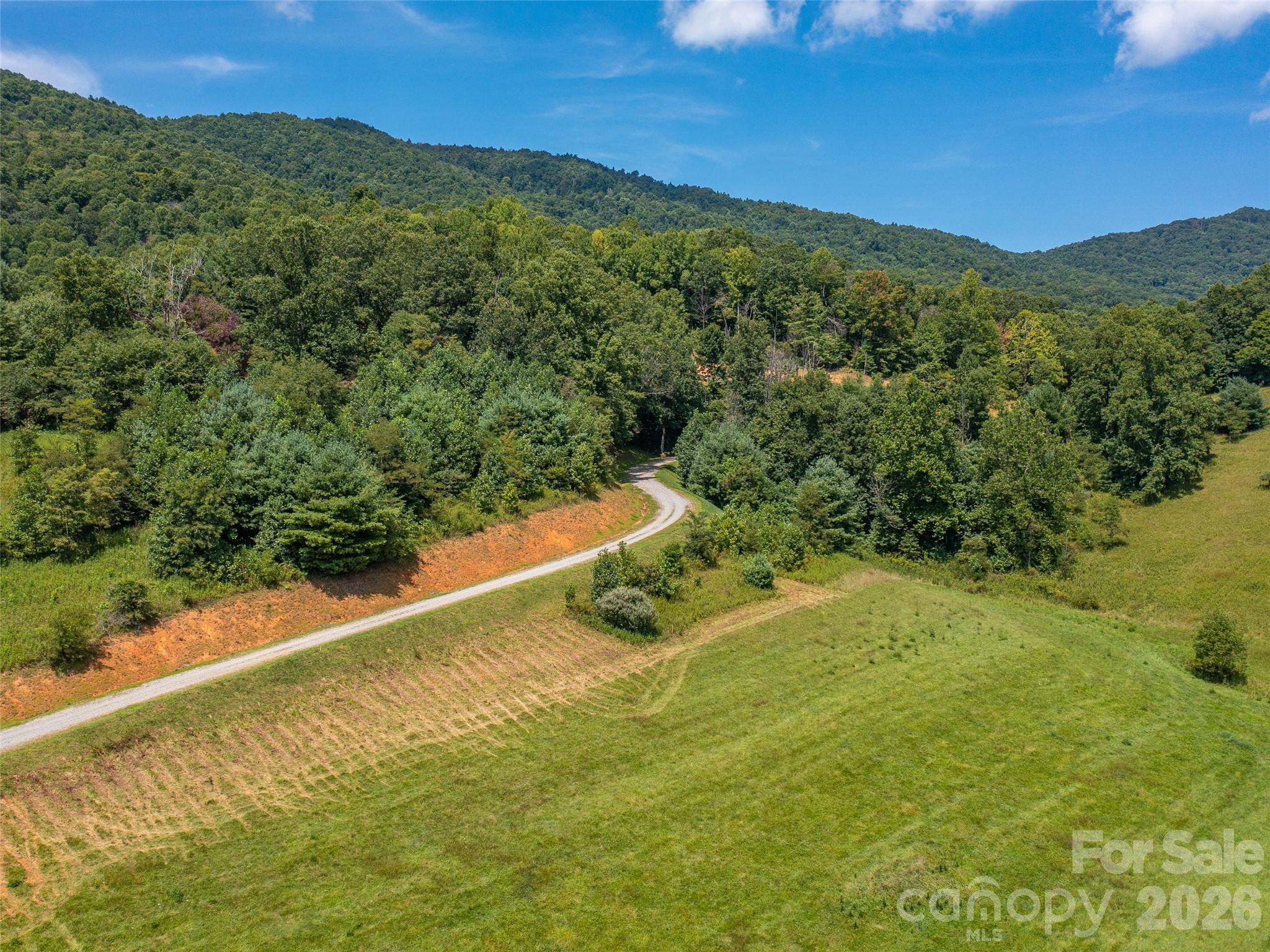 000 Locust Rough Mountain Road Lots 5 & 6 Property Photo 4