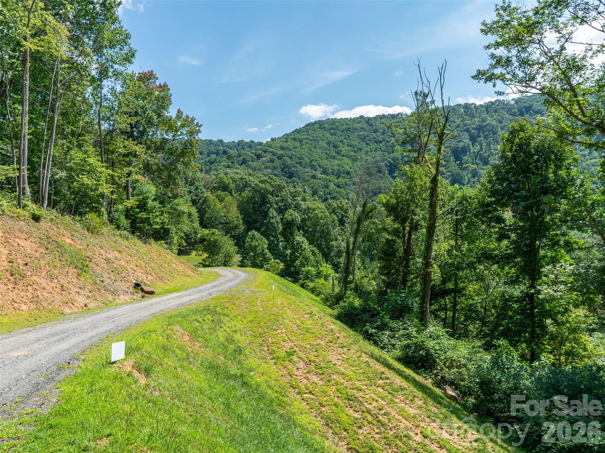 000 Locust Rough Mountain Road Lots 5 & 6 Property Photo 18