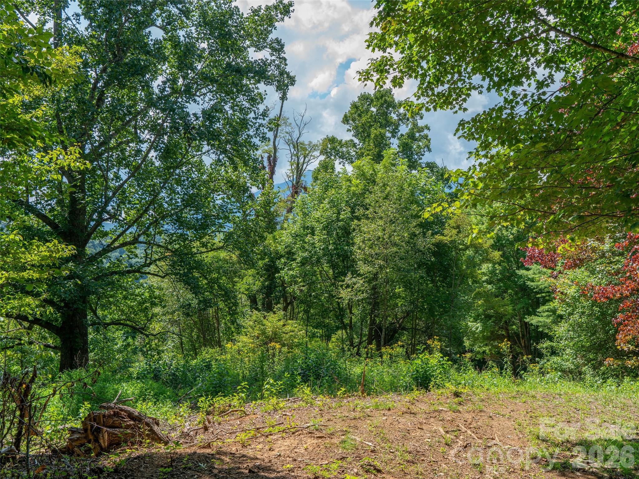 000 Locust Rough Mountain Road Lots 5 & 6 Property Photo 20