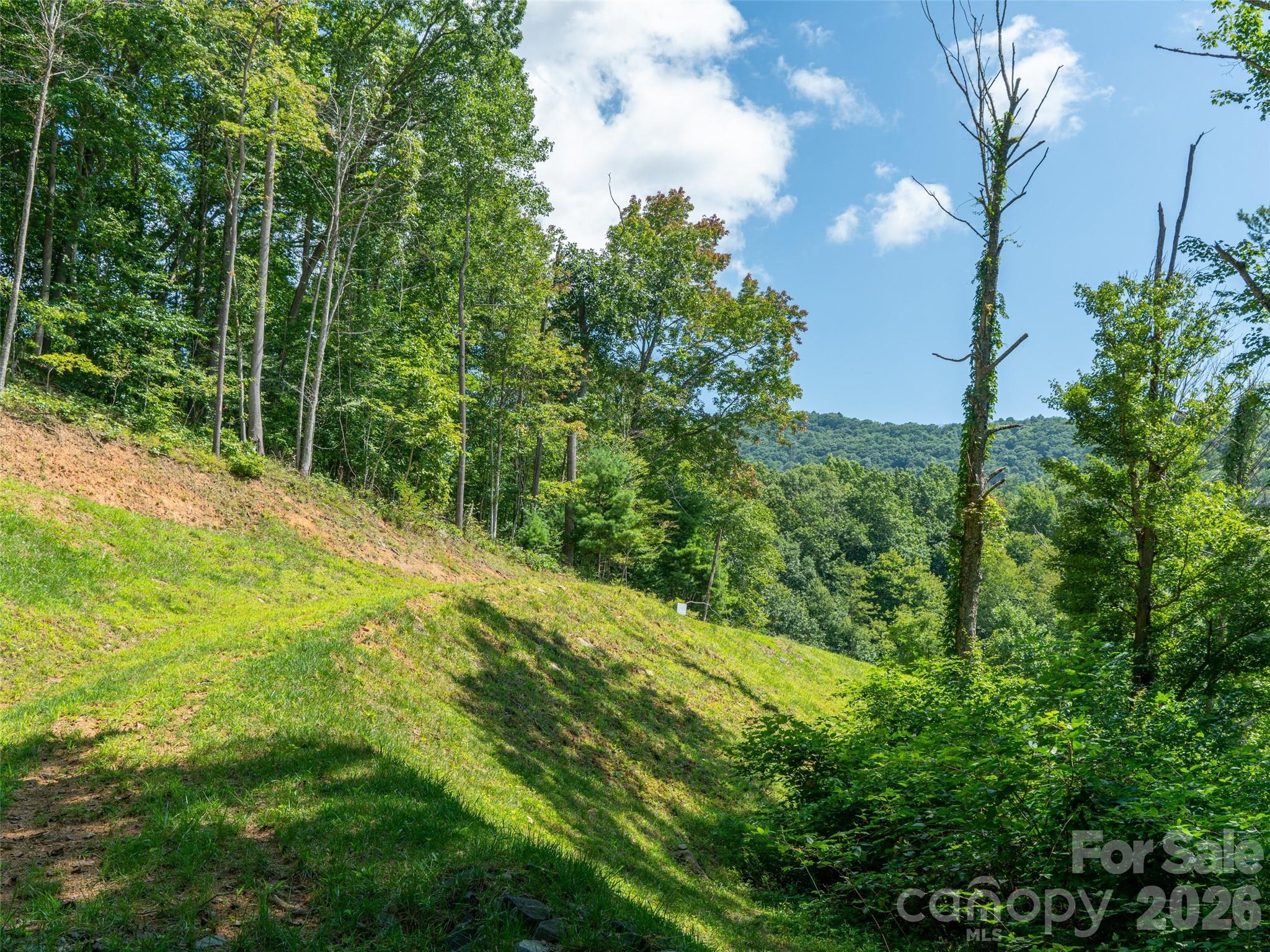 000 Locust Rough Mountain Road Lots 5 & 6 Property Photo 22