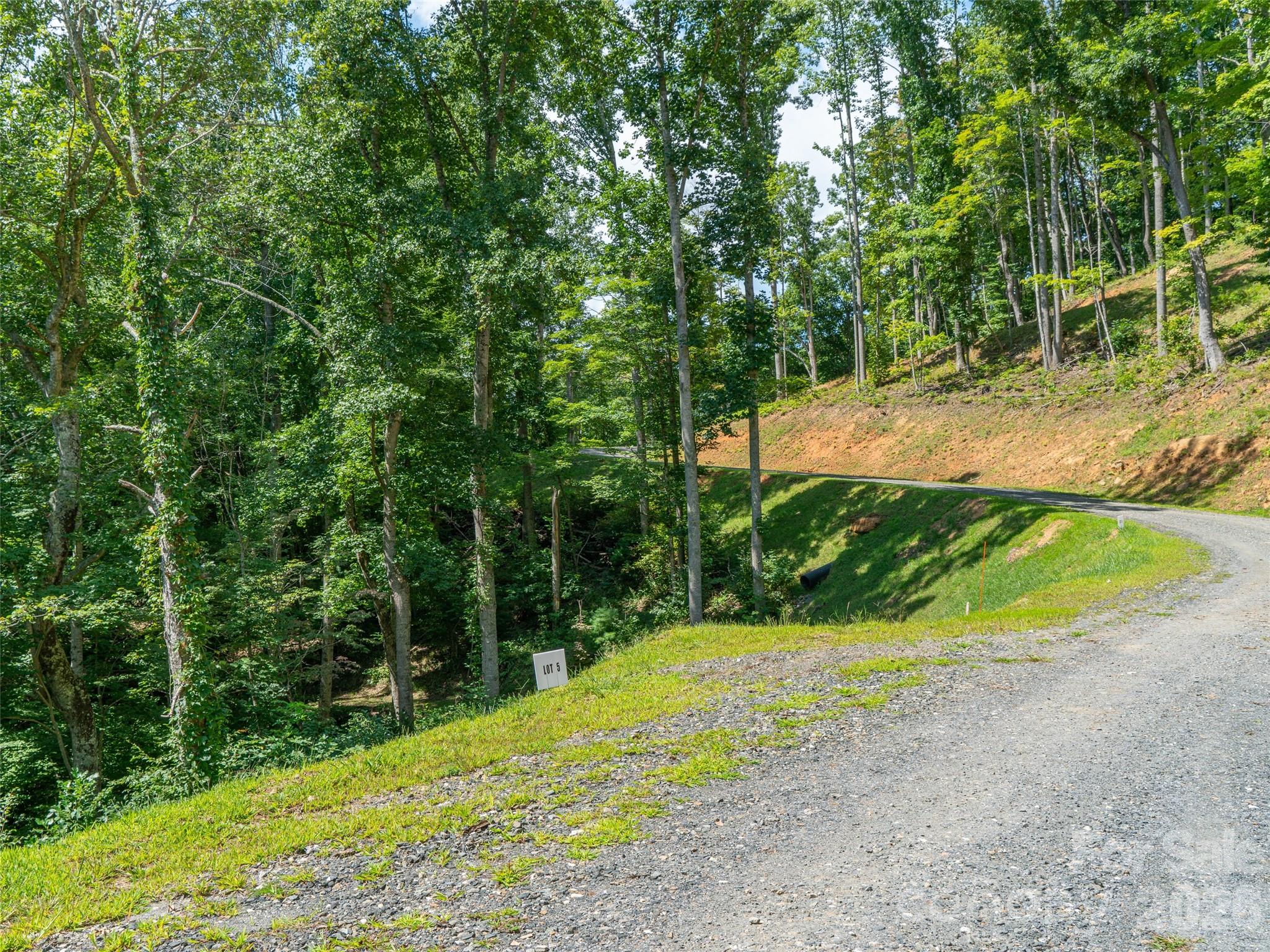 000 Locust Rough Mountain Road Lots 5 & 6 Property Photo 23