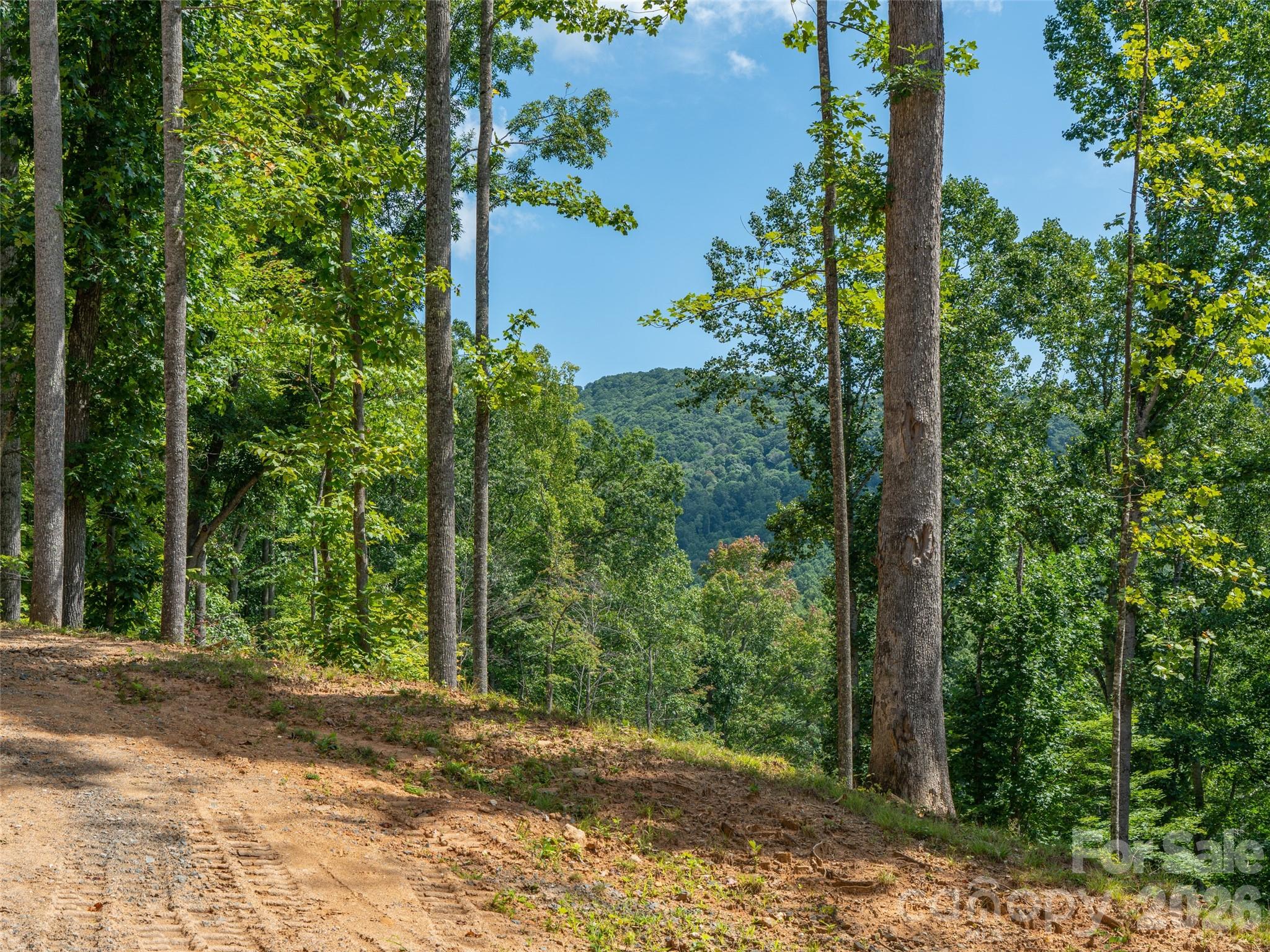 000 Locust Rough Mountain Road Lots 5 & 6 Property Photo 27