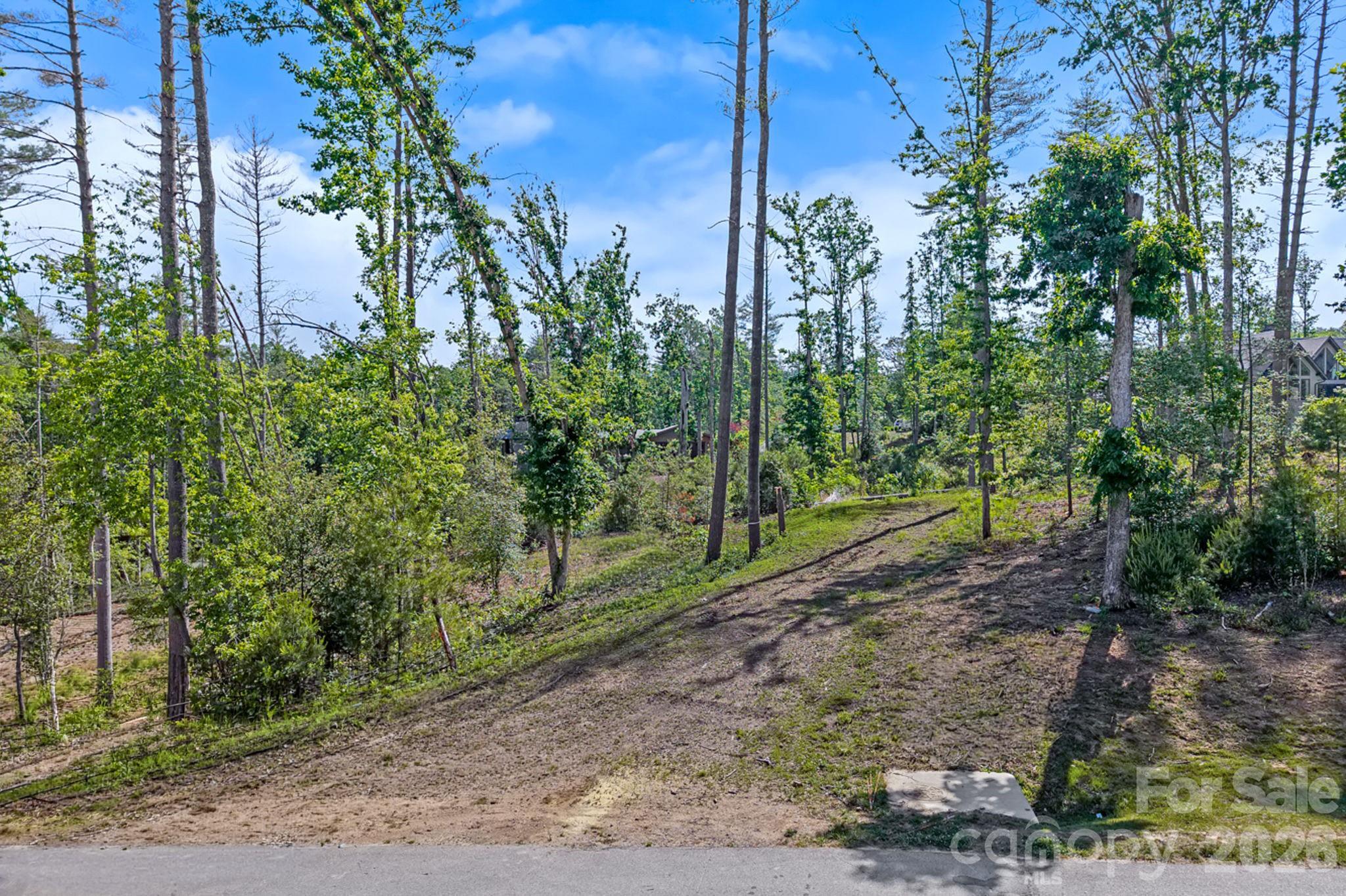 325 Flowering Vine Court Property Photo 3