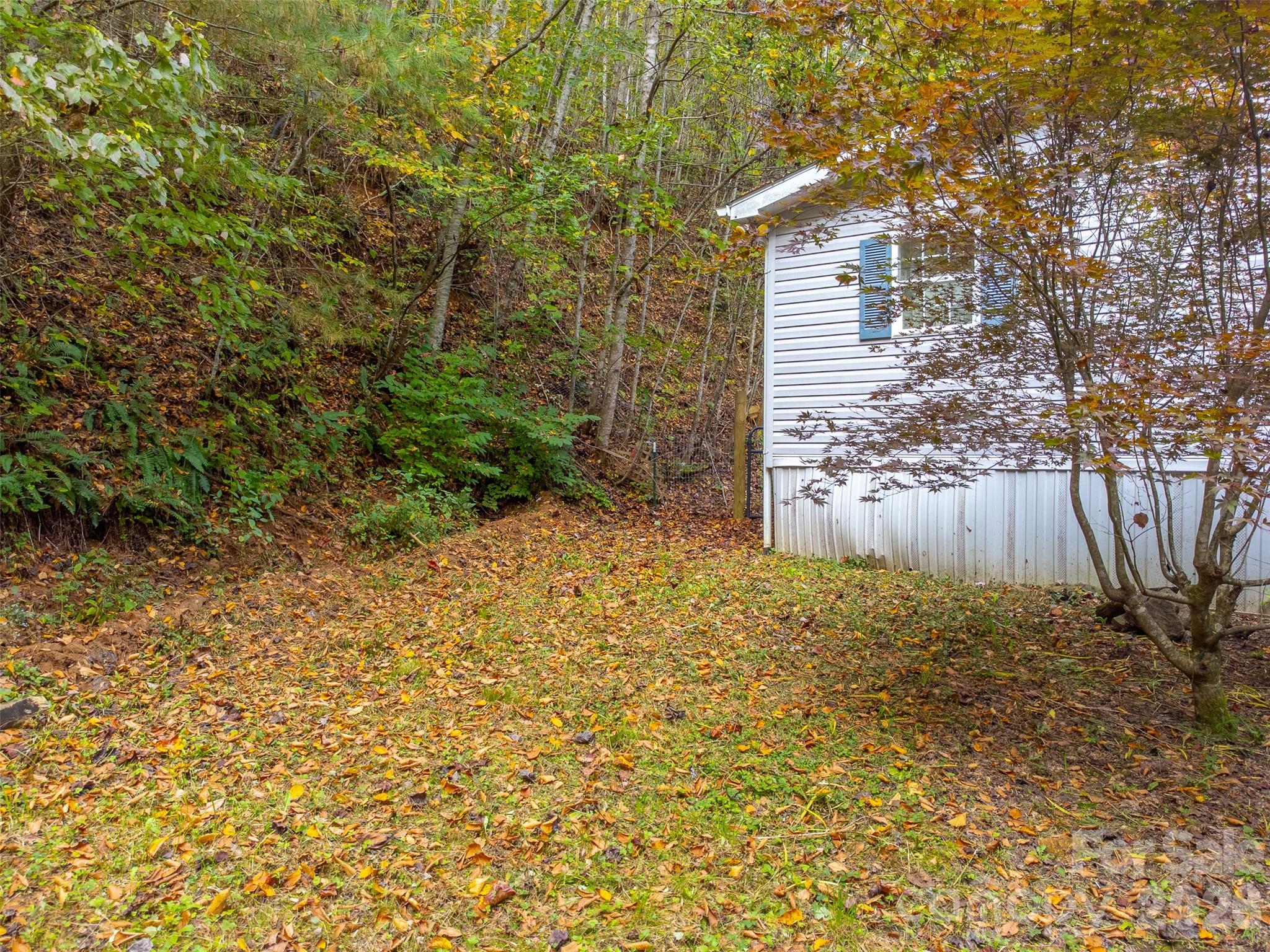 197 Savannah Meadows Trail Property Photo 29