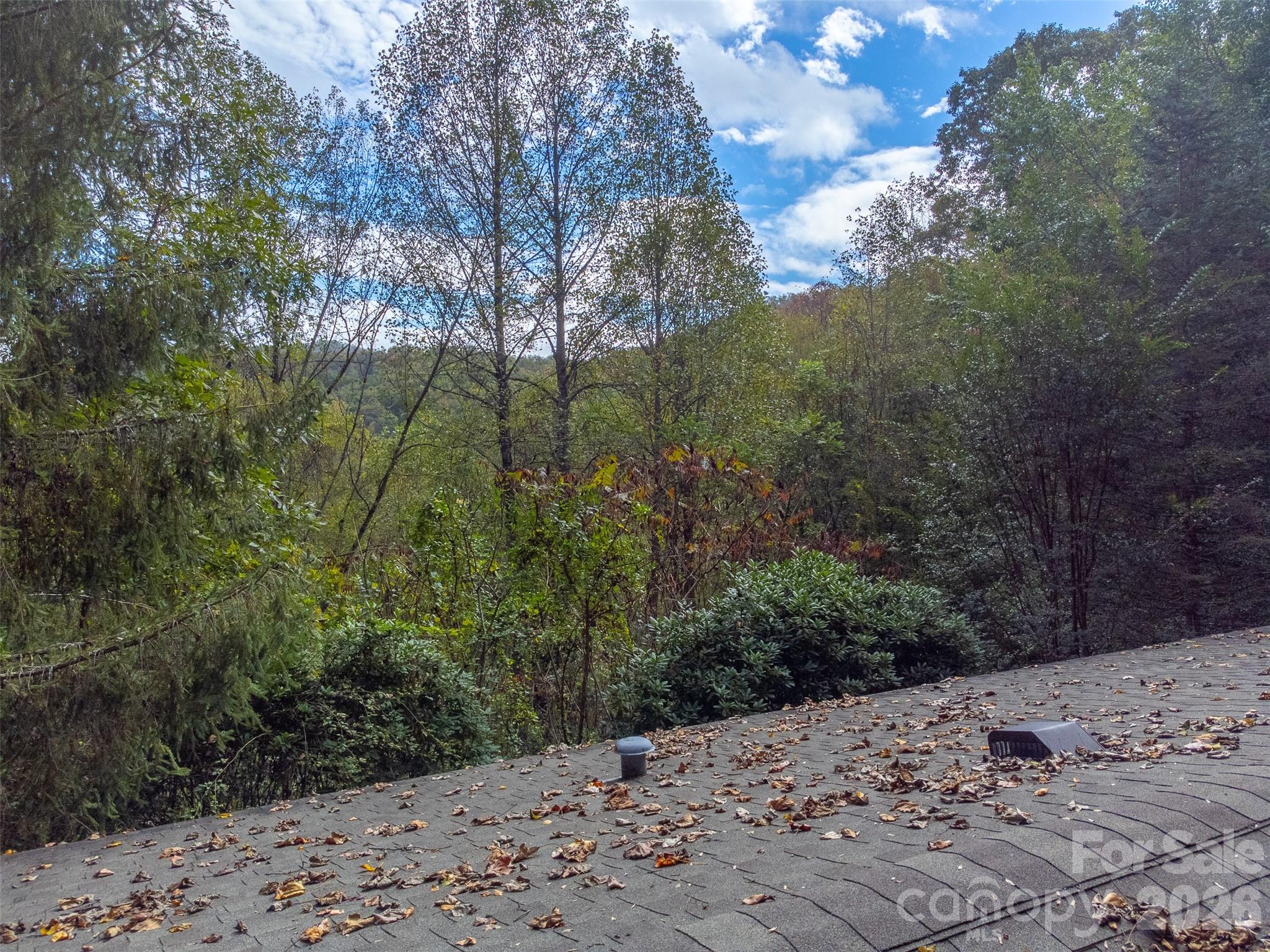 197 Savannah Meadows Trail Property Photo 37
