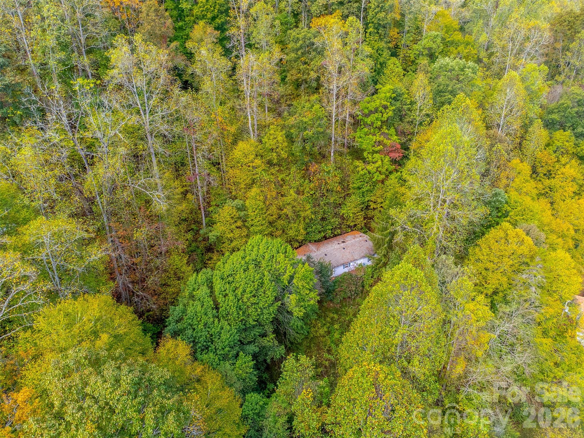197 Savannah Meadows Trail Property Photo 44