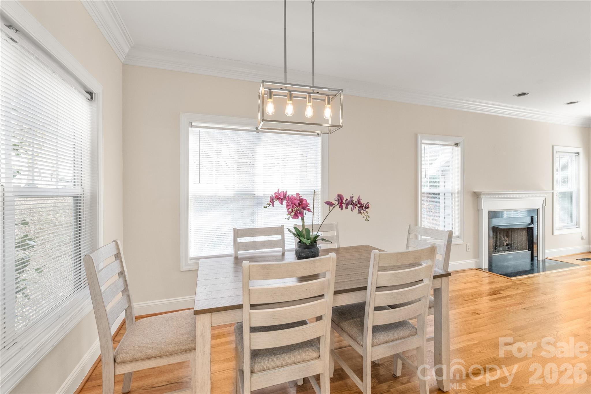 14137 Wild Elm Road Property Photo 16
