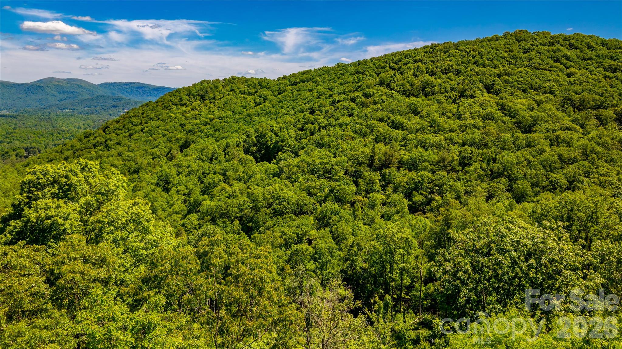214 Ballard Creek Road Property Photo 14