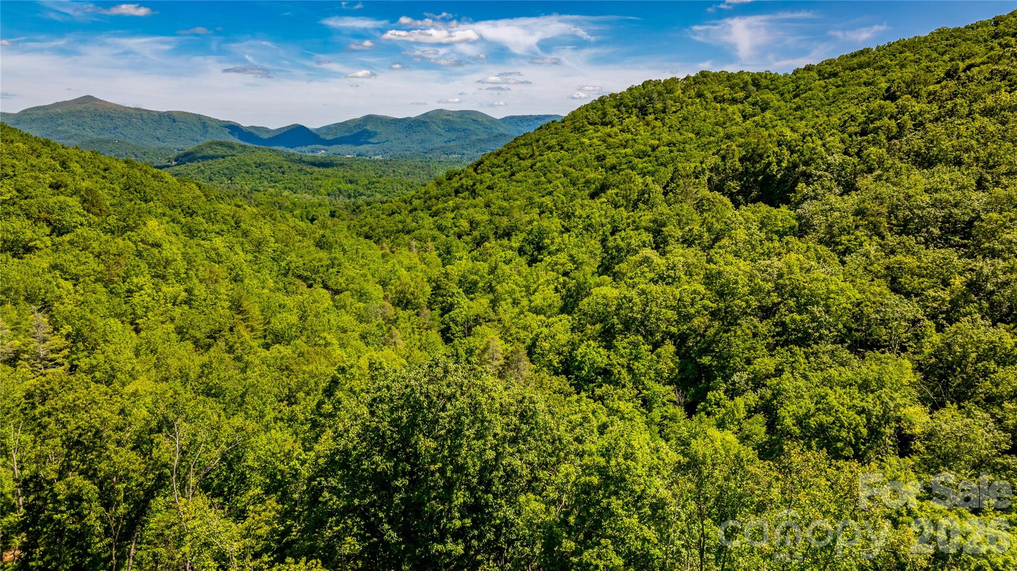 214 Ballard Creek Road Property Photo 15