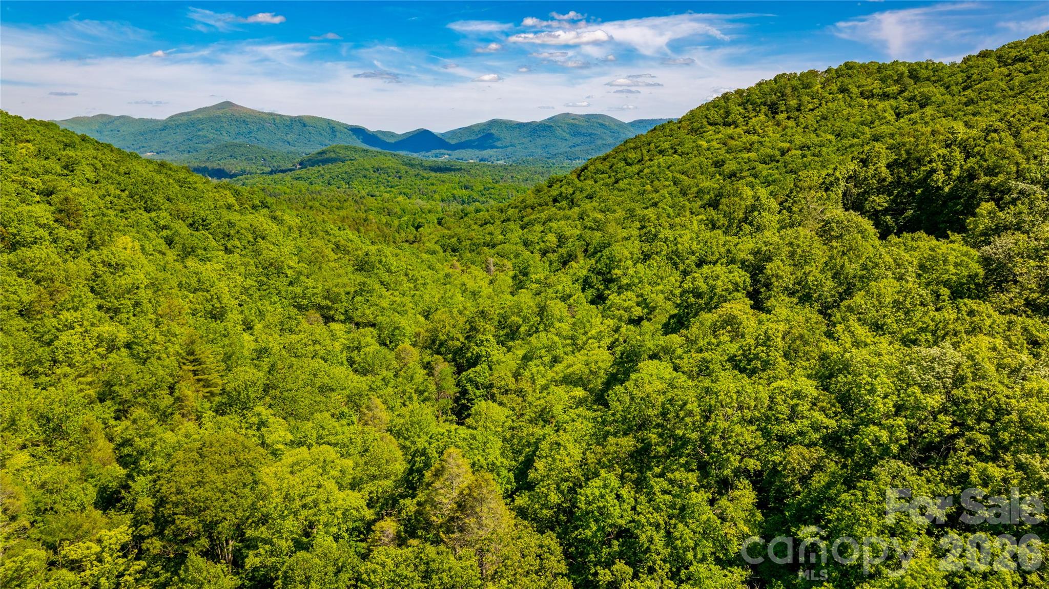 214 Ballard Creek Road Property Photo 16