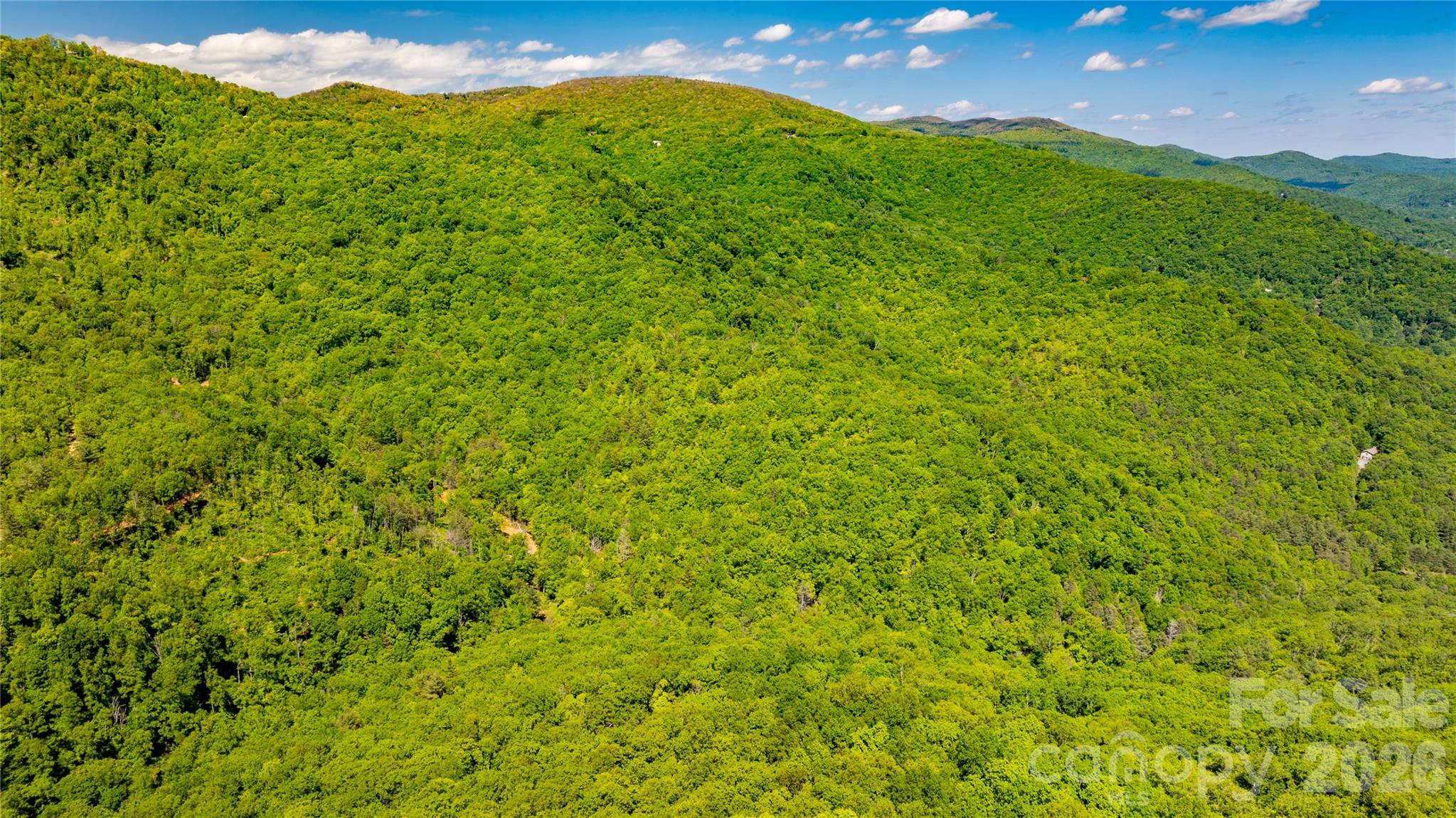 214 Ballard Creek Road Property Photo 17