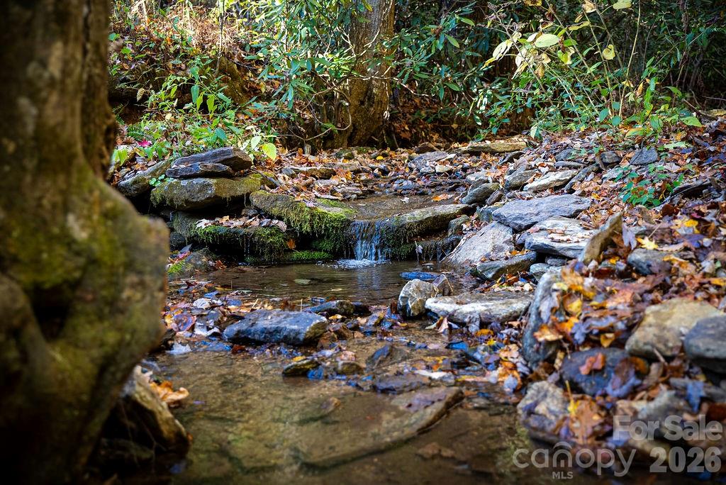 808 Mountain Cove Road Property Photo 26