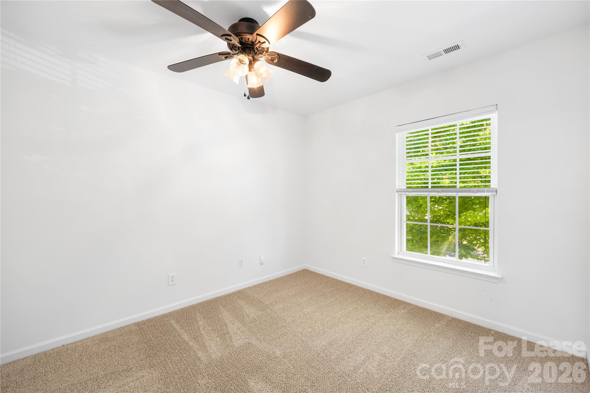 4384352 Property Photo 17