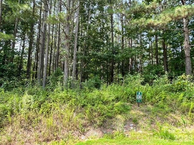 100 Shortoff Trail 156 Property Photo 1