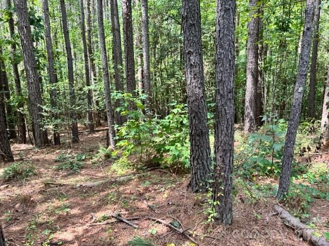 100 Shortoff Trail 156 Property Photo 2