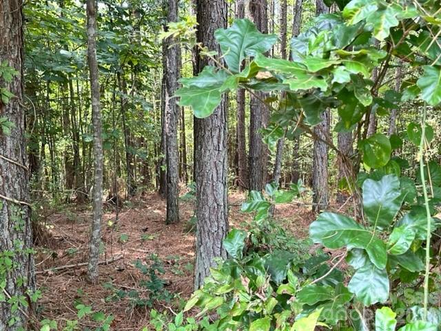 100 Shortoff Trail 156 Property Photo 3