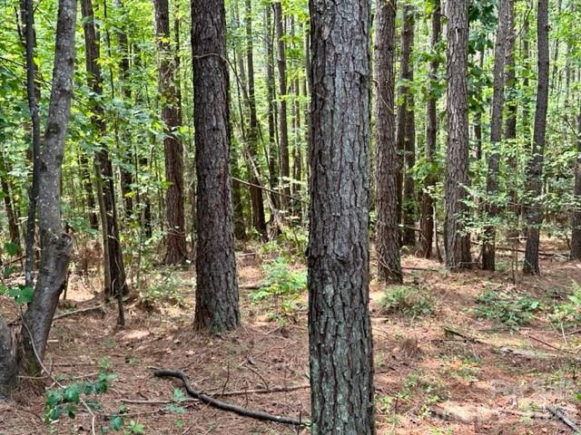100 Shortoff Trail 156 Property Photo 4
