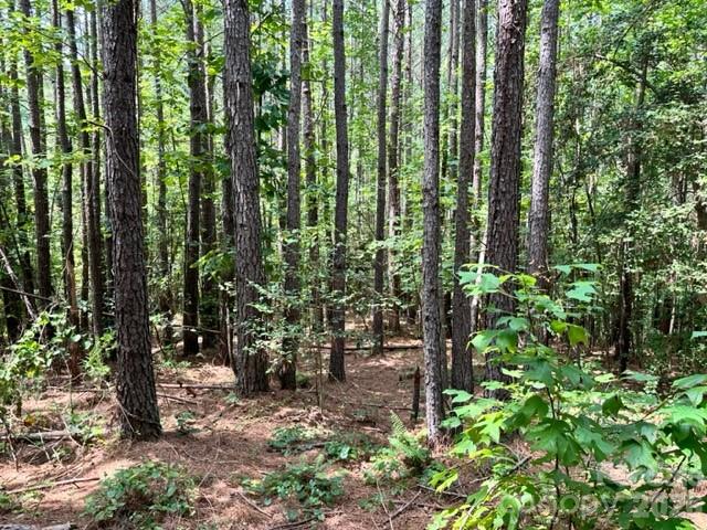 100 Shortoff Trail 156 Property Photo 5
