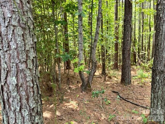 100 Shortoff Trail 156 Property Photo 6