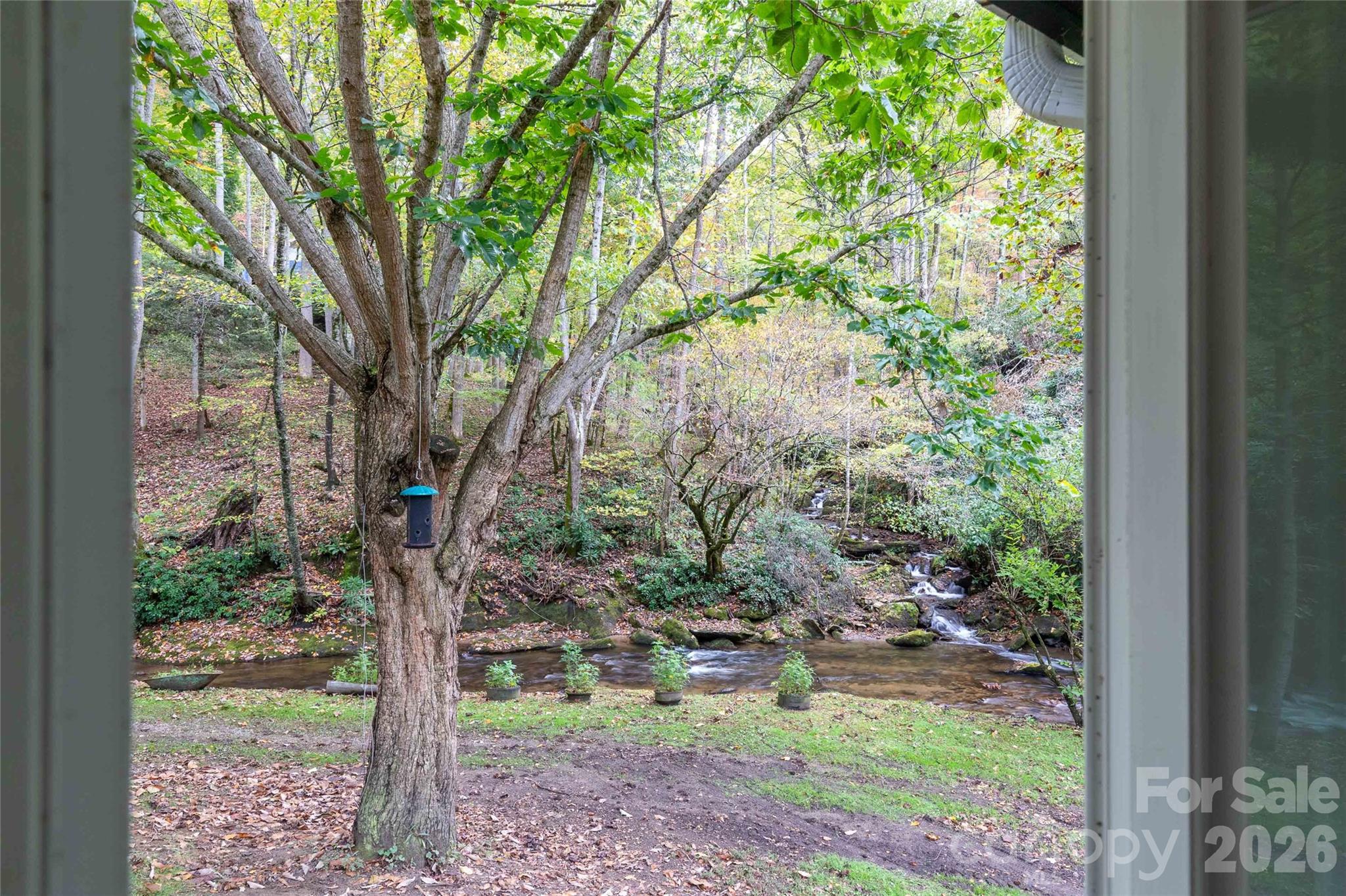 214 Chin Tree Road Property Photo 26