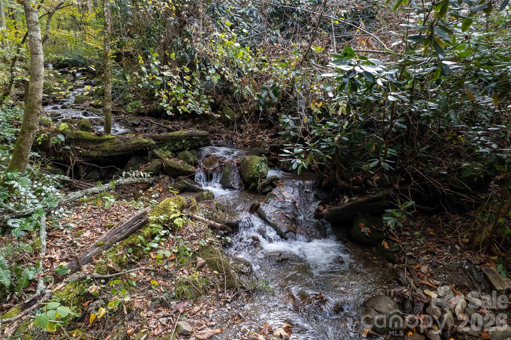 214 Chin Tree Road Property Photo 32