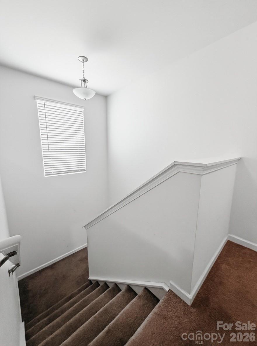 244 Amberly Circle Property Photo 14