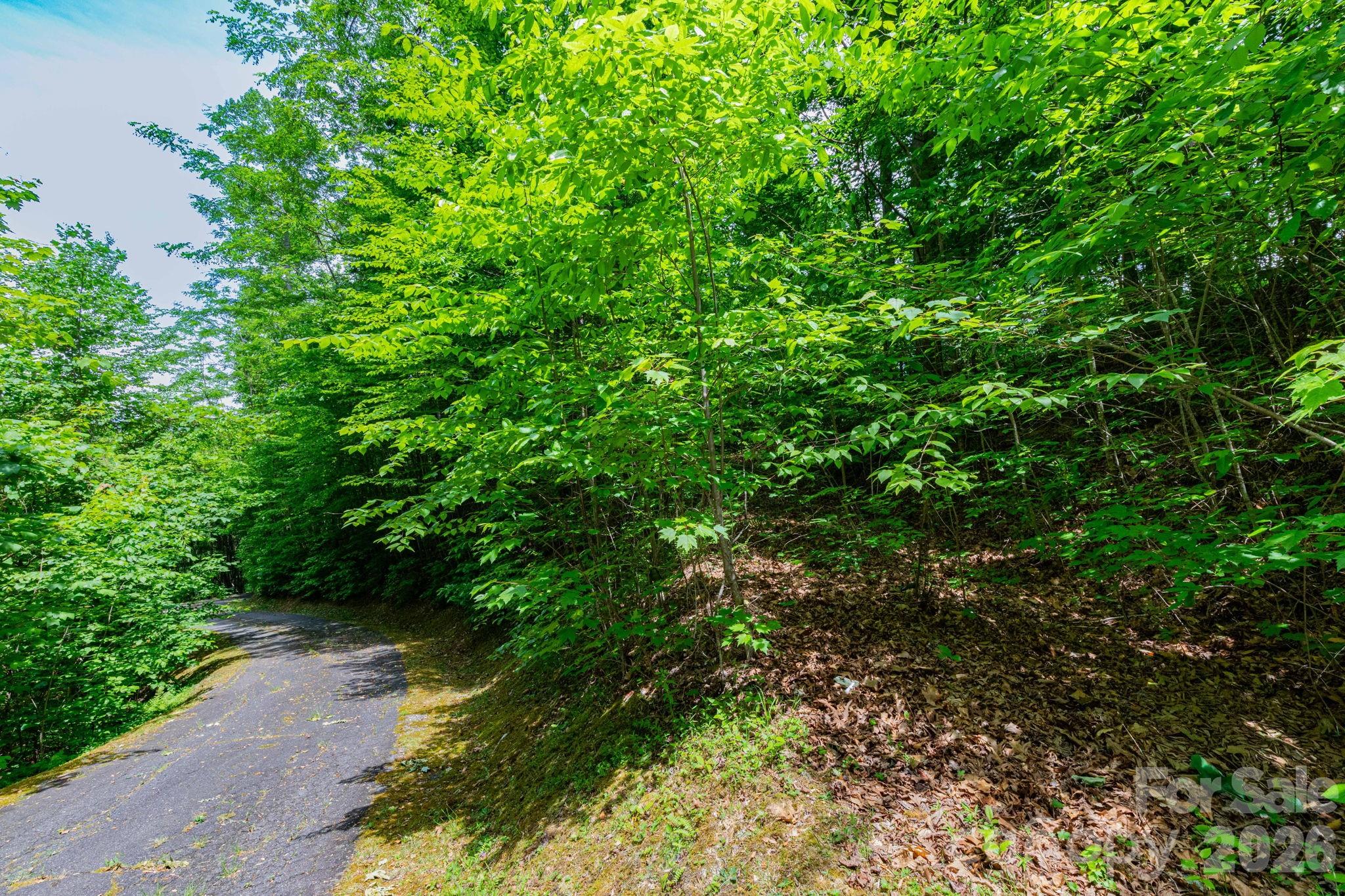 46 Widgeon Way Property Photo 3