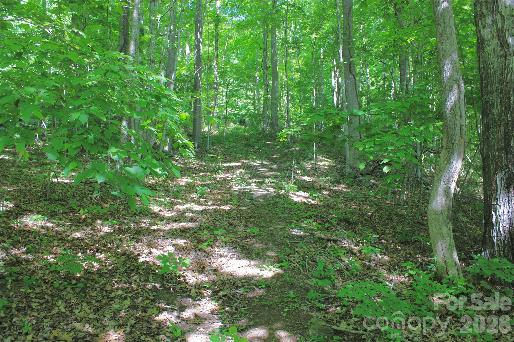 00 Wildwood Drive Property Photo 5