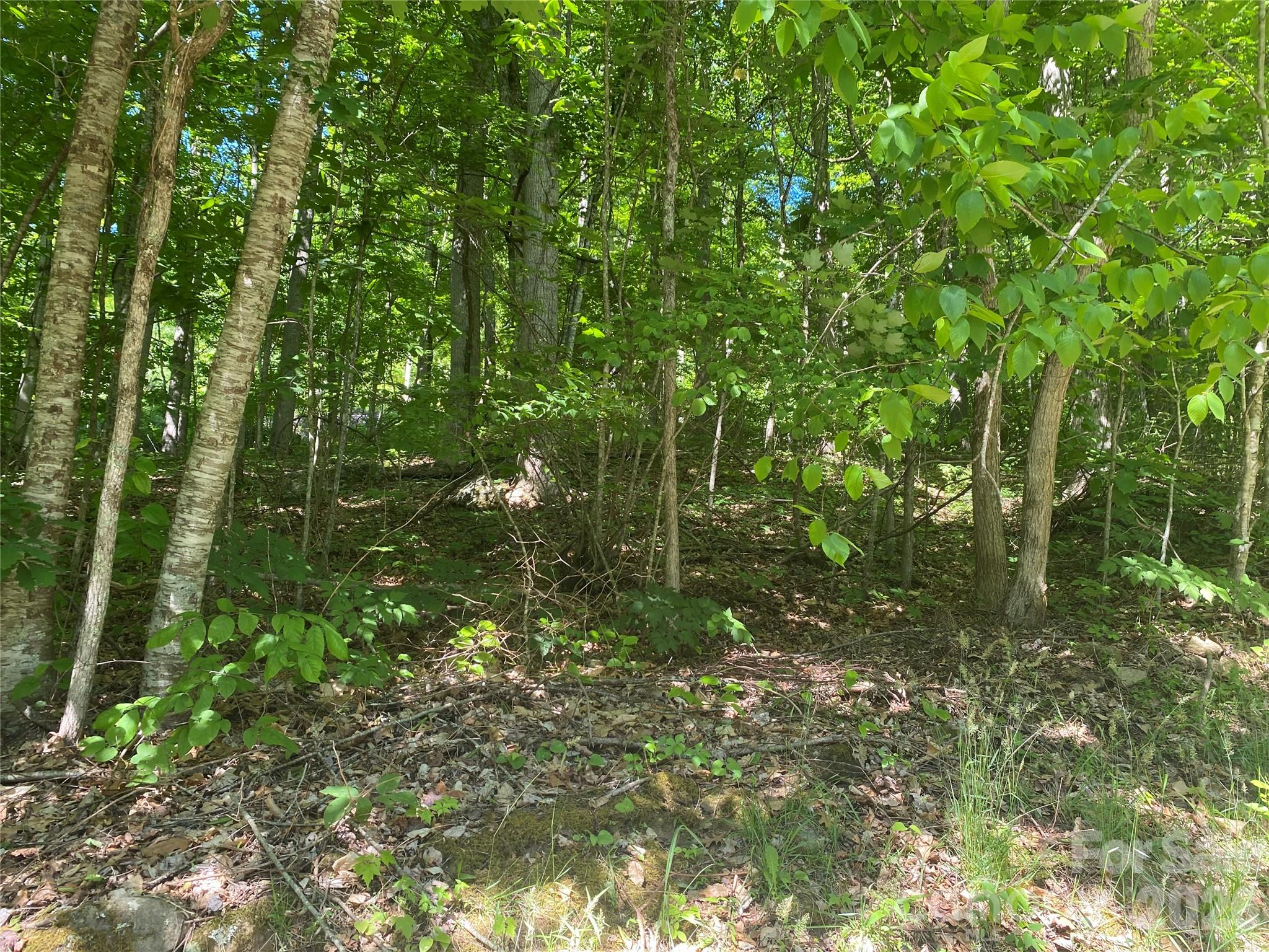 00 Wildwood Drive Property Photo 7