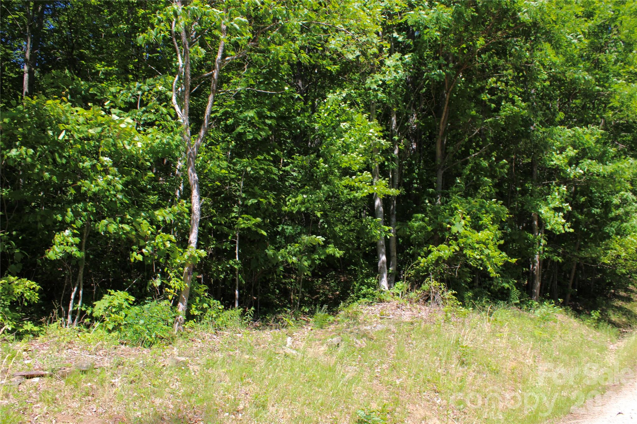 00 Wildwood Drive Property Photo 9