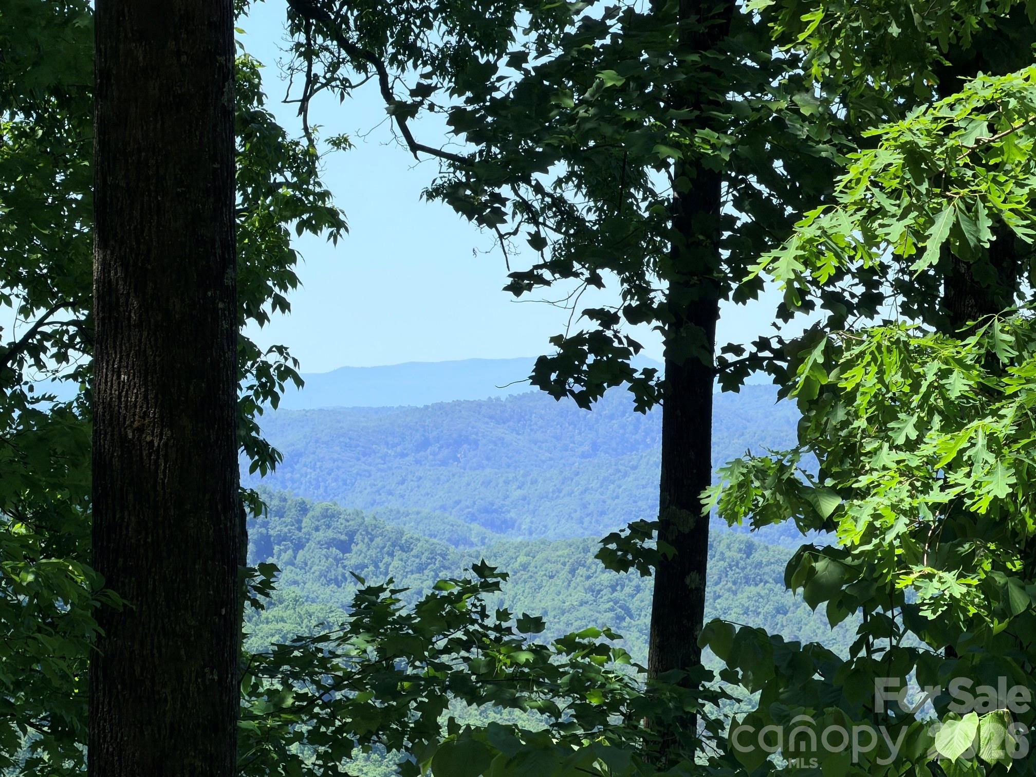 Lot 10 Timbercliff Trail Property Photo 1