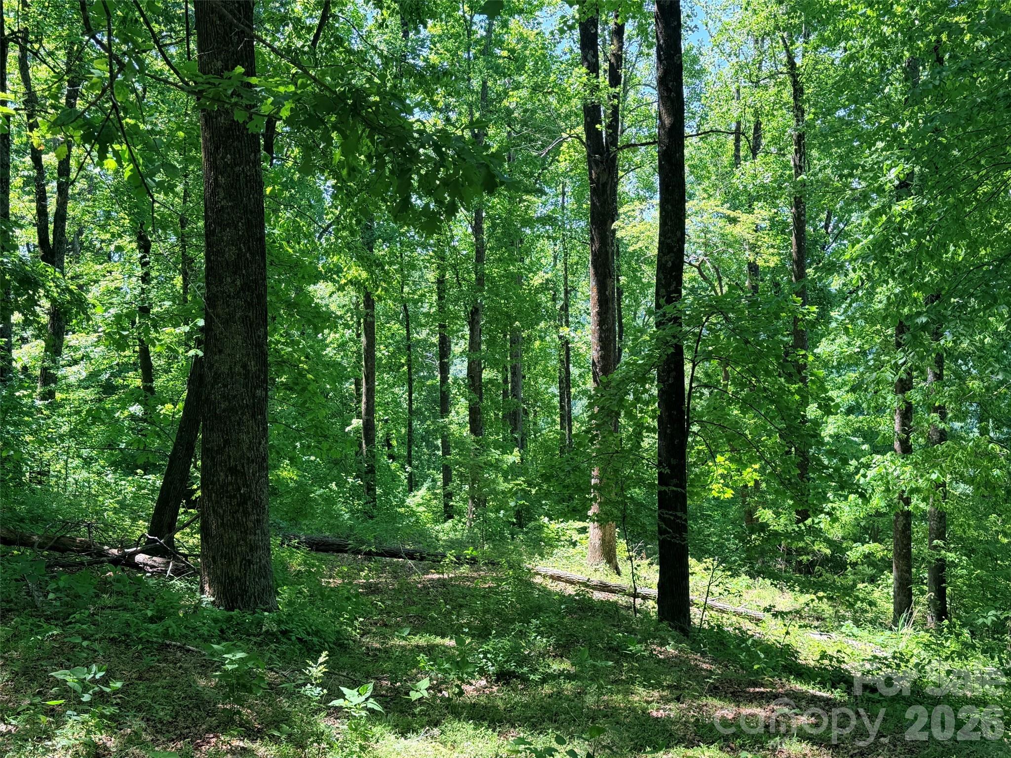 Lot 10 Timbercliff Trail Property Photo 2