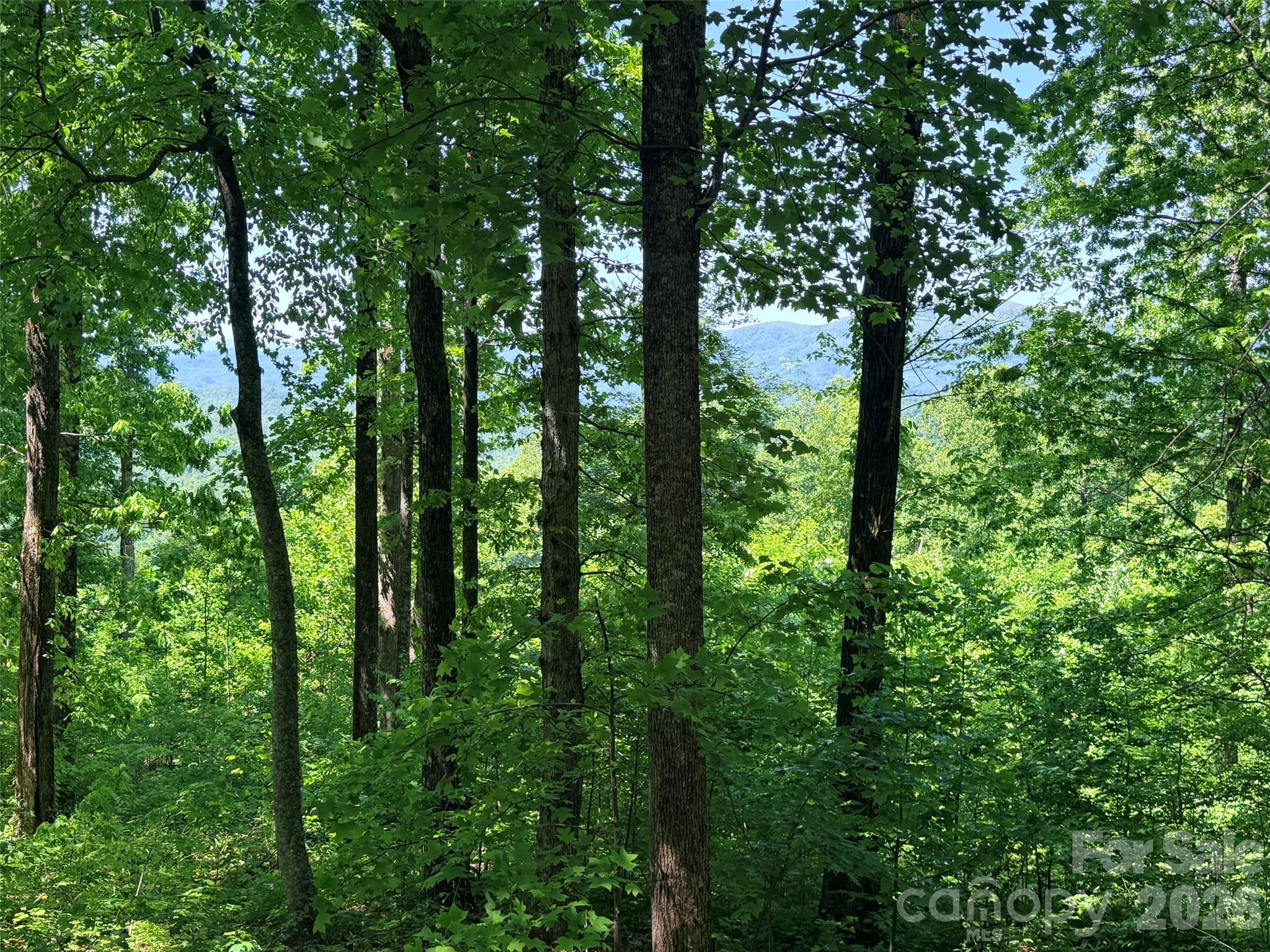 Lot 10 Timbercliff Trail Property Photo 3