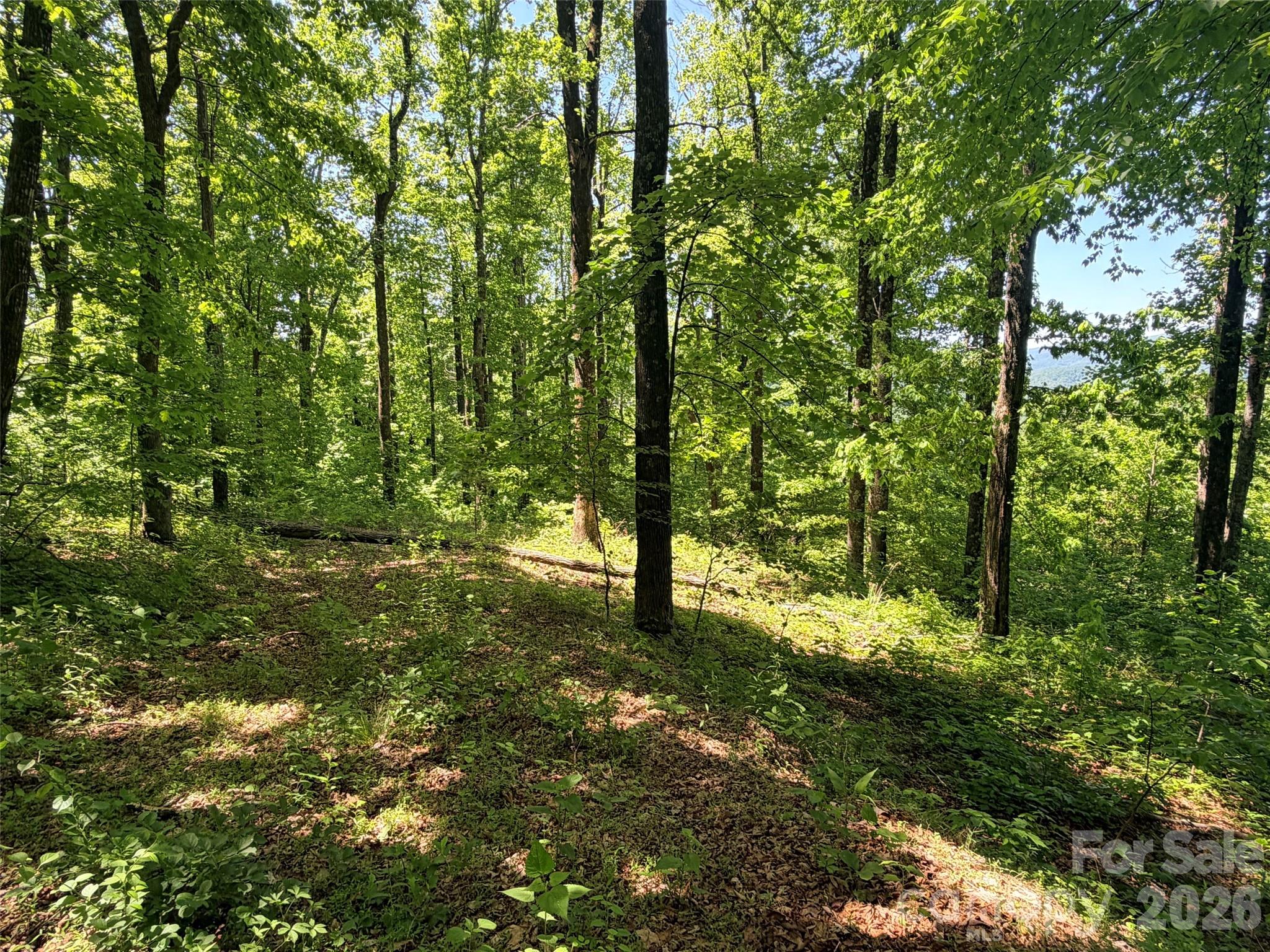 Lot 10 Timbercliff Trail Property Photo 4