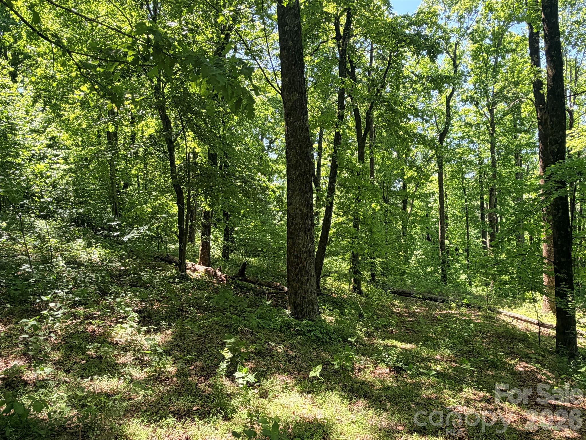 Lot 10 Timbercliff Trail Property Photo 5
