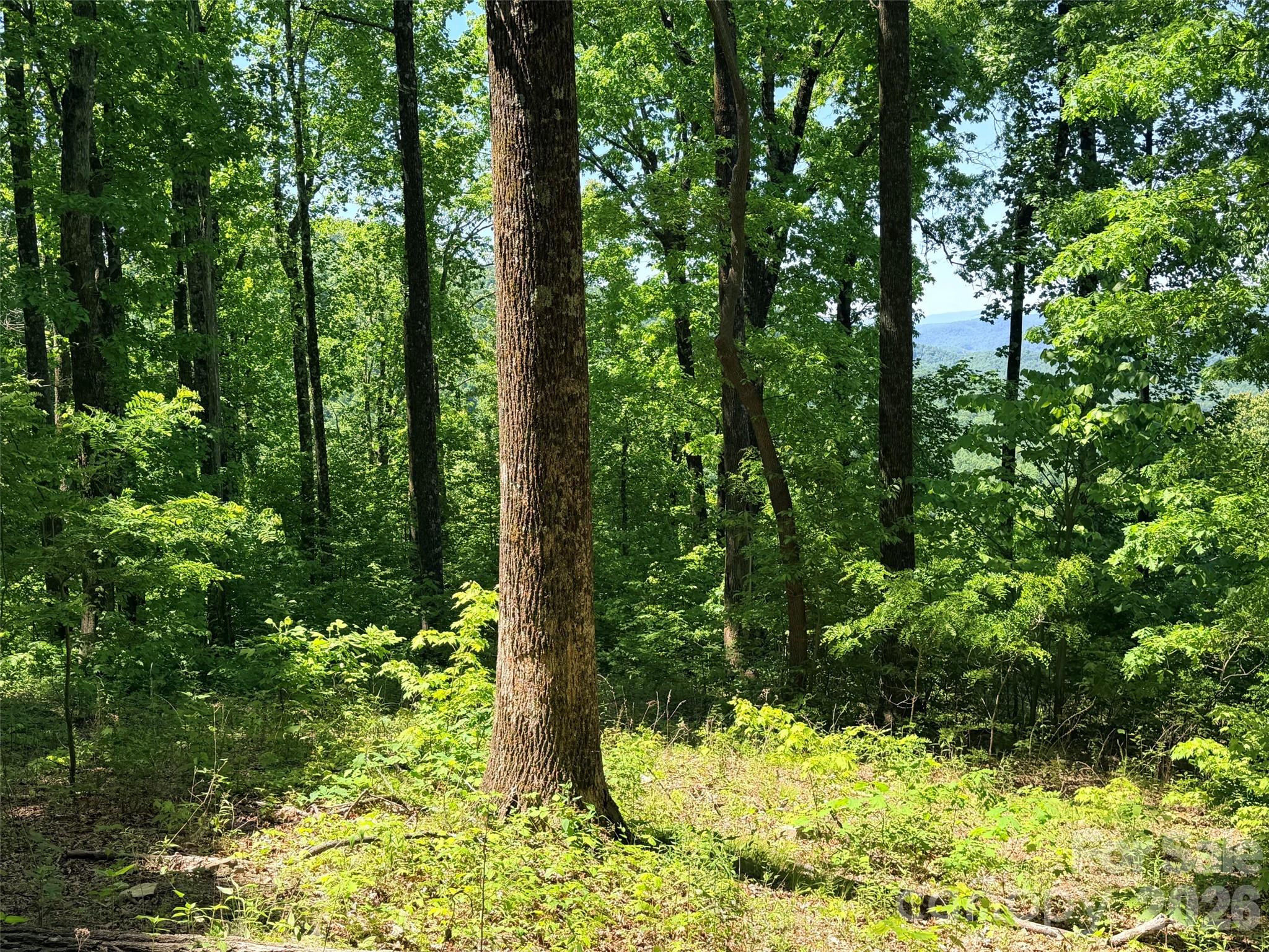 Lot 10 Timbercliff Trail Property Photo 6