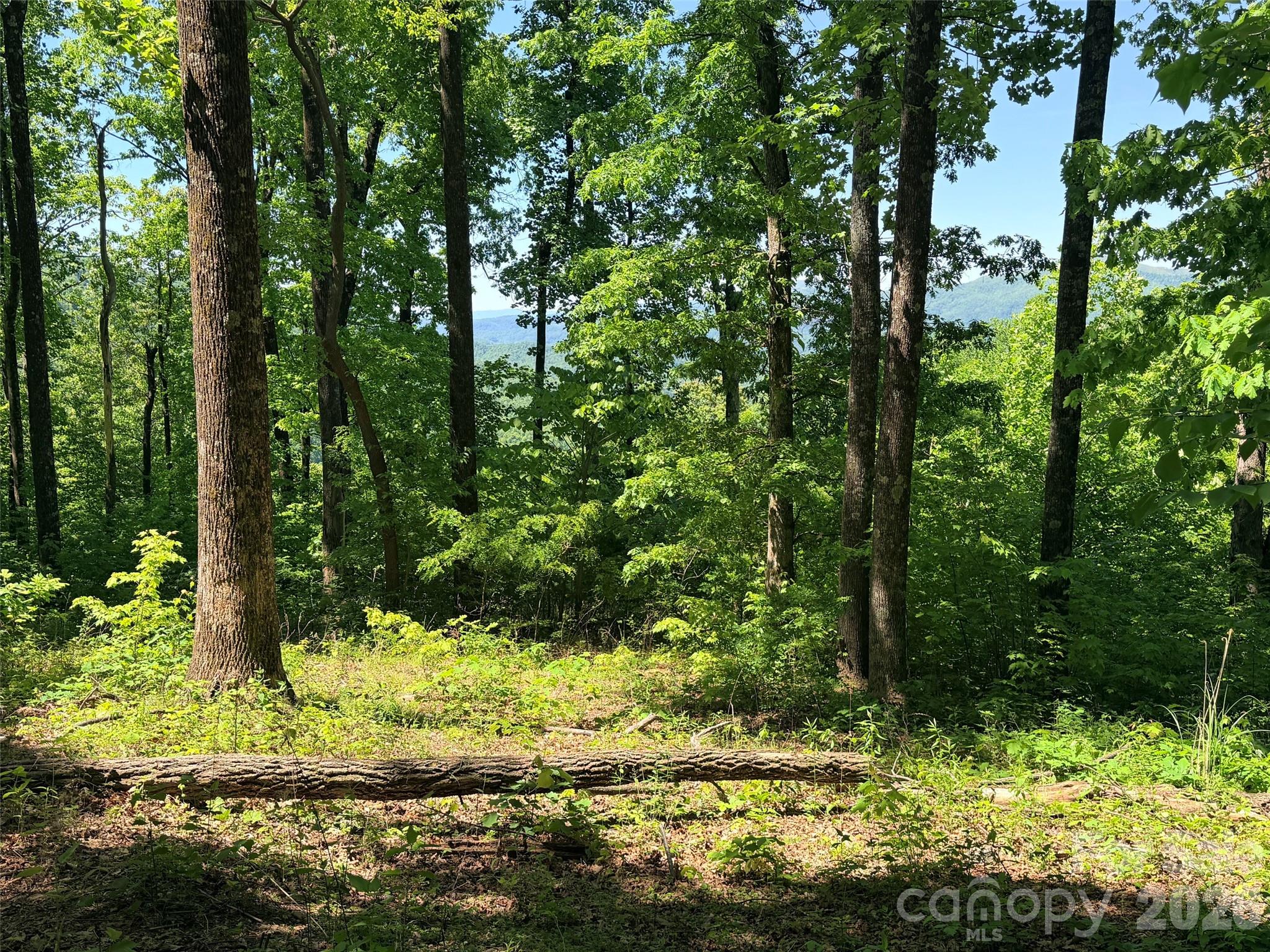 Lot 10 Timbercliff Trail Property Photo 7