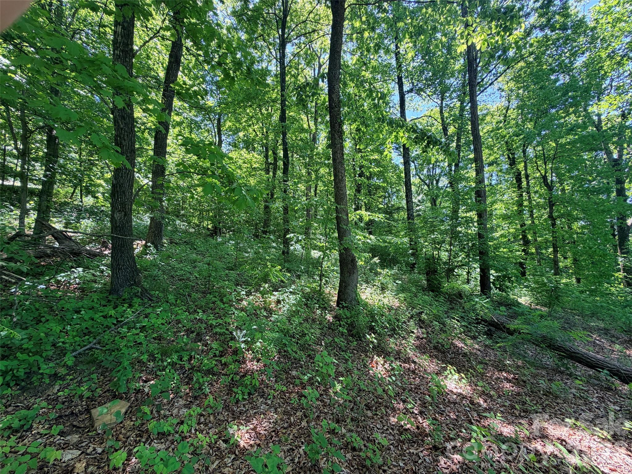 Lot 10 Timbercliff Trail Property Photo 8