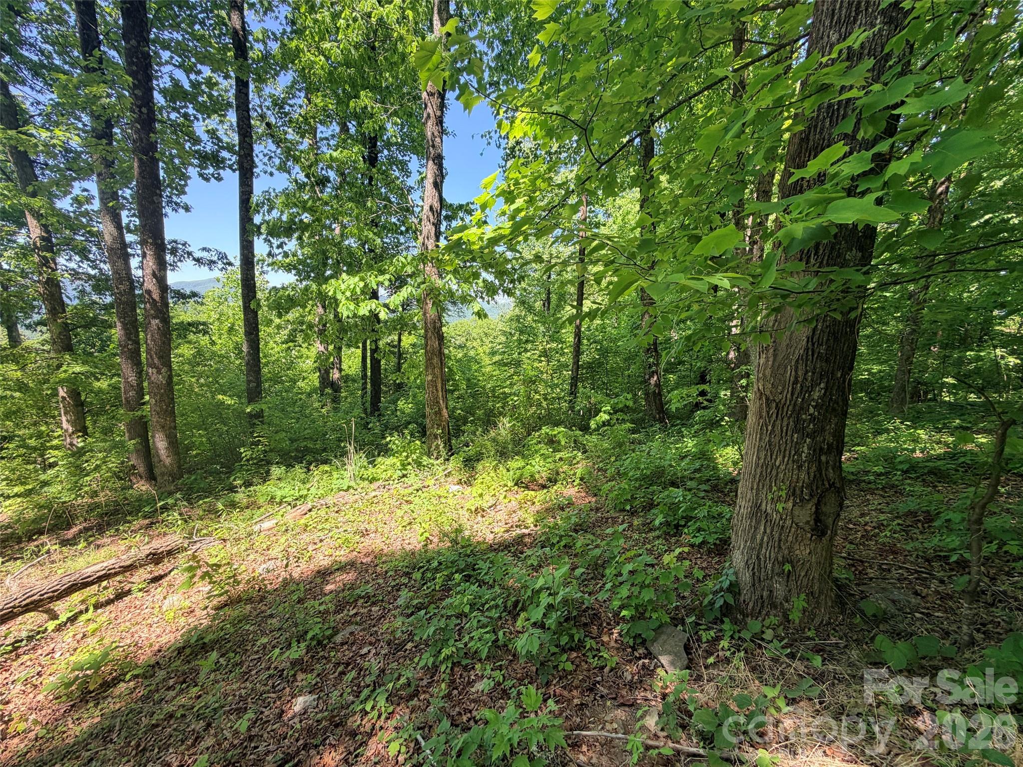 Lot 10 Timbercliff Trail Property Photo 9